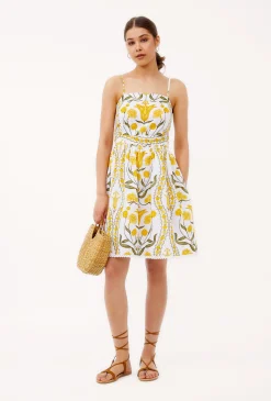 1567 alessia